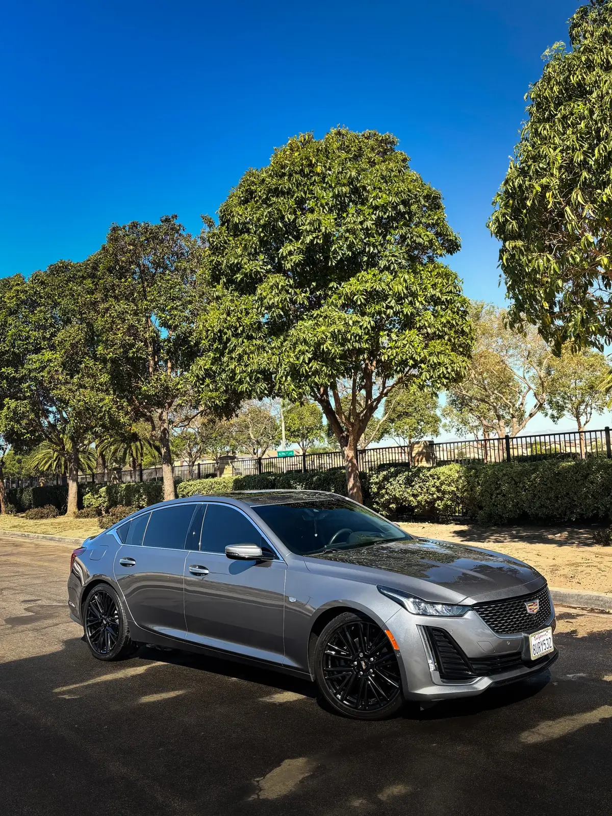 A freshly detailed Cadillac CT5 parked under blue sky